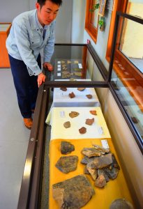 展示されている奈良時代の瓦片や飛鳥時代の土器片など