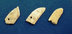 稲穂を摘む石包丁