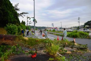 倒木を撤去する県土木事務所の職員