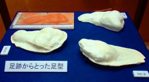 足跡から取られた古墳時代の人の足型