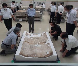 修復施設でキトラ古墳壁画の天文図を見る検討会のメンバー