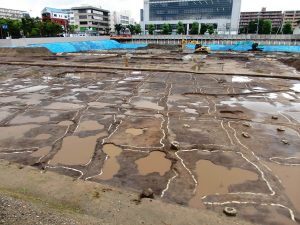 奈良署跡で見つかった弥生時代前期の水田跡。畦で細かく区切られている