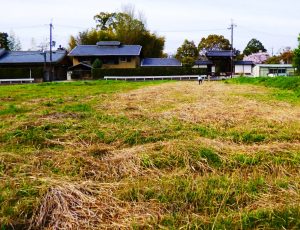 発掘体験会が行われる「史跡大安寺旧境内」（奈良市埋蔵文化財調査センター提供）