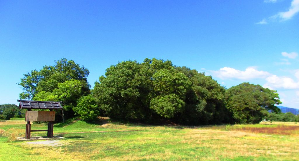 藤原宮大極殿跡の大宮土壇
