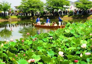 舟に乗って蓮取りをする地区役員ら