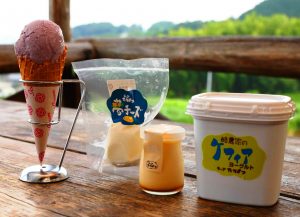 搾りたての牛乳で作られた製品