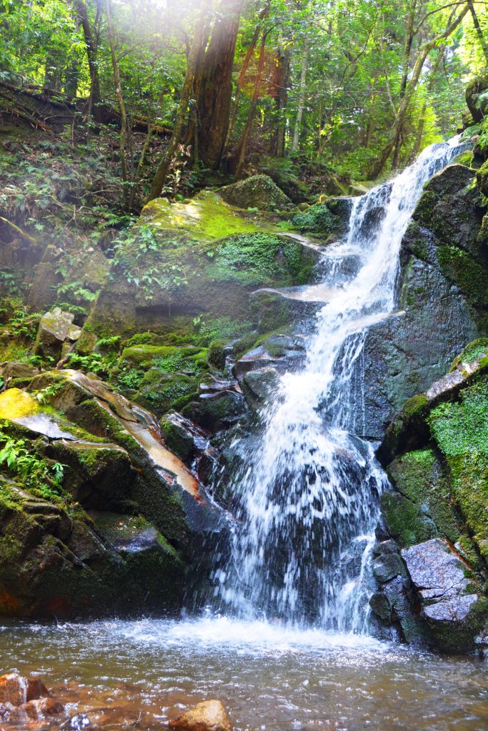鴬の滝の周辺は、静寂さに包まれている