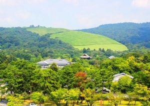 緑の芝に覆われた若草山