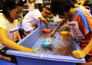 懸命に金魚をすくう子供たち
