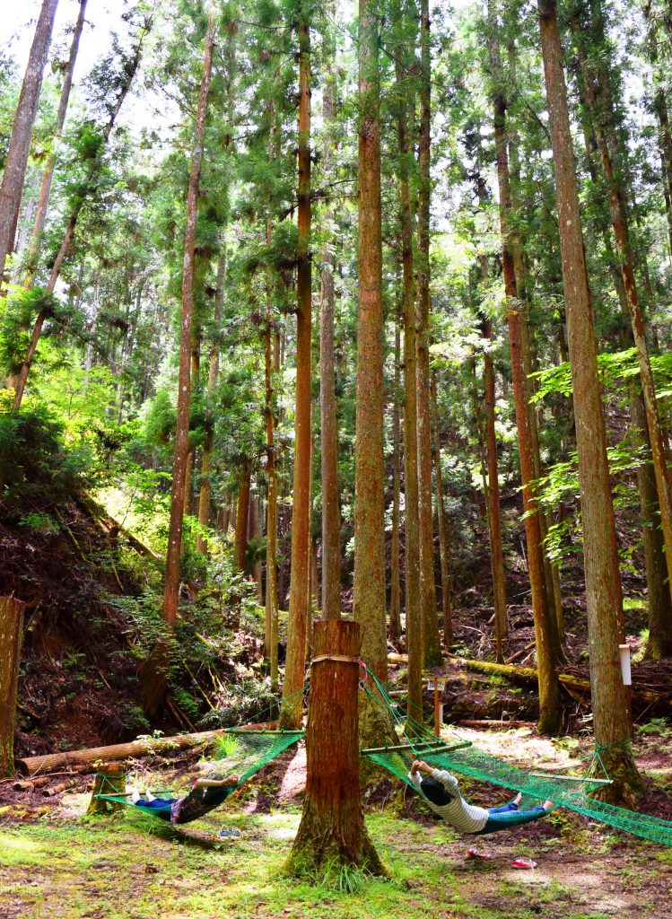 「こもれび広場」では、ハンモックに寝転んでのんびり