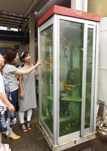 約3年前に登場した「金魚電話ボックス」