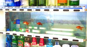 金魚自販機