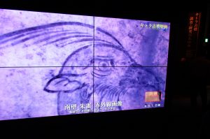 マルチスクリーンに映し出された朱雀の頭部