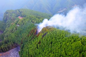 約10ヘクタールが焼失した十津川村の山林火災(県提供)
