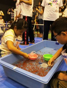 懸命に金魚をすくう子供たち