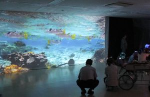 壁や天井に魚や動物が投影された「ゆめ水族園」