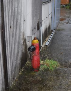 男性市議が不正利用した消火栓