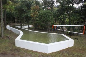 プールと池をつなぎ、文化交流を見せている作品=西大寺