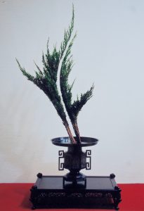 %e7%94%9f%e8%8a%b1%ef%bc%88%ef%87%9d%e6%97%a5%e7%b5%84%ef%bc%89