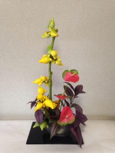 %e7%94%9f%e8%8a%b1%ef%bc%88%ef%87%9a%e6%97%a5%e7%b5%84%ef%bc%89