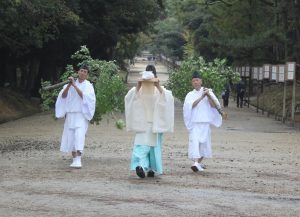 大榊を一之鳥居まで運ぶ神職ら