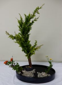 %e7%94%9f%e8%8a%b1%ef%bc%88%ef%bc%99%e6%97%a5%e7%b5%84%ef%bc%89