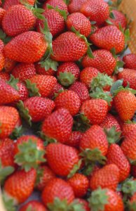 %e3%81%82%e3%81%a3%e3%80%81%e3%81%93%e3%82%8c%e9%a3%9f%e3%81%b9%e3%81%9f%e3%81%84%ef%bc%81%ef%bc%92%e3%82%81%e3%81%84%e3%81%a8%e3%81%8f%e8%be%b2%e5%9c%92%e3%81%ae%e3%81%8b%e3%81%8a%e3%82%8a%e9%87%8e