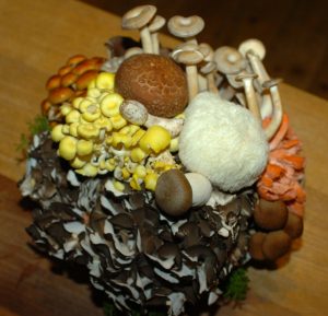 コース料理に使われるきのこ