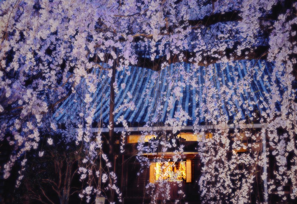 奈良写真倶楽部　専称寺　