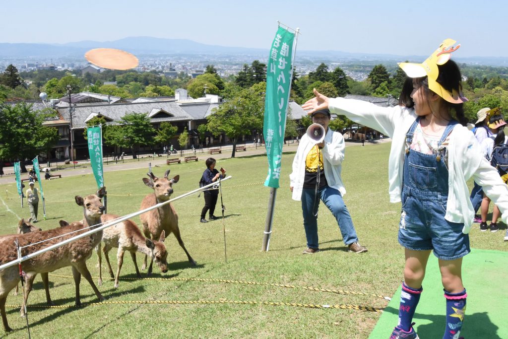 鹿せんべいとばし①