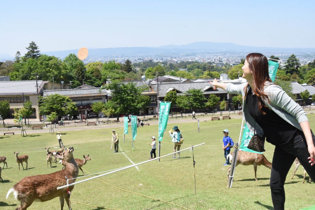 鹿せんべいとばし②